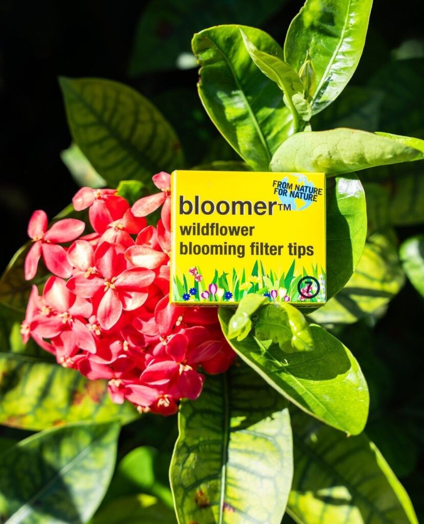 Bloomer Filter Tip box next to a flower, Highlighting the importance of bloomers and pollinators