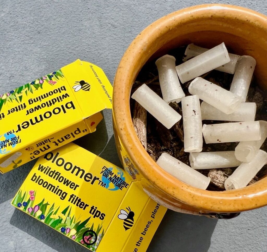 Eco-friendly Bloomer filter tips in ashtray beside Bloomer product boxes, showcasing sustainable smoking accessories for pollinator conservation