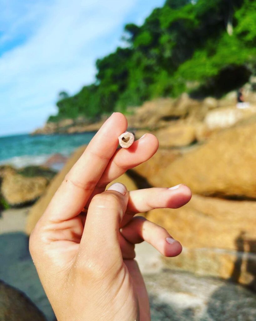 A hand holding a Bloomer Filter Tip between fingers, with a rocky beach and green foliage, Rocks, and water in the background.