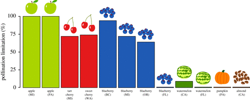 Pollination limitation Information graph of different fruits from different states