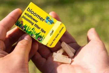 Eco-conscious smoker holding Bloomer Filter Tips box with 'Save the bees, please' slogan, showcasing seed-embedded biodegradable tips falling into hand, promoting pollinator conservation and sustainable smoking practices