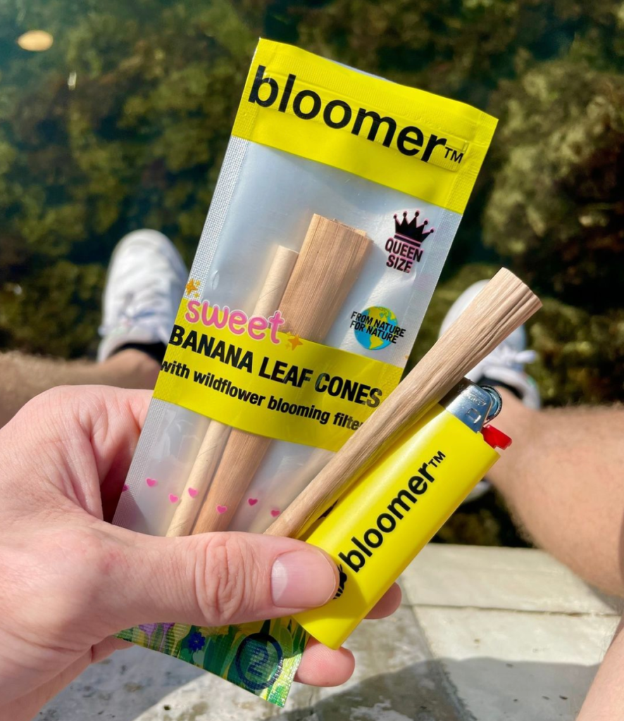 Man holding Sweet Banana Leaf Cone with Bloomer Lighter. Sitting on top of a tall building with an arial forest background view.